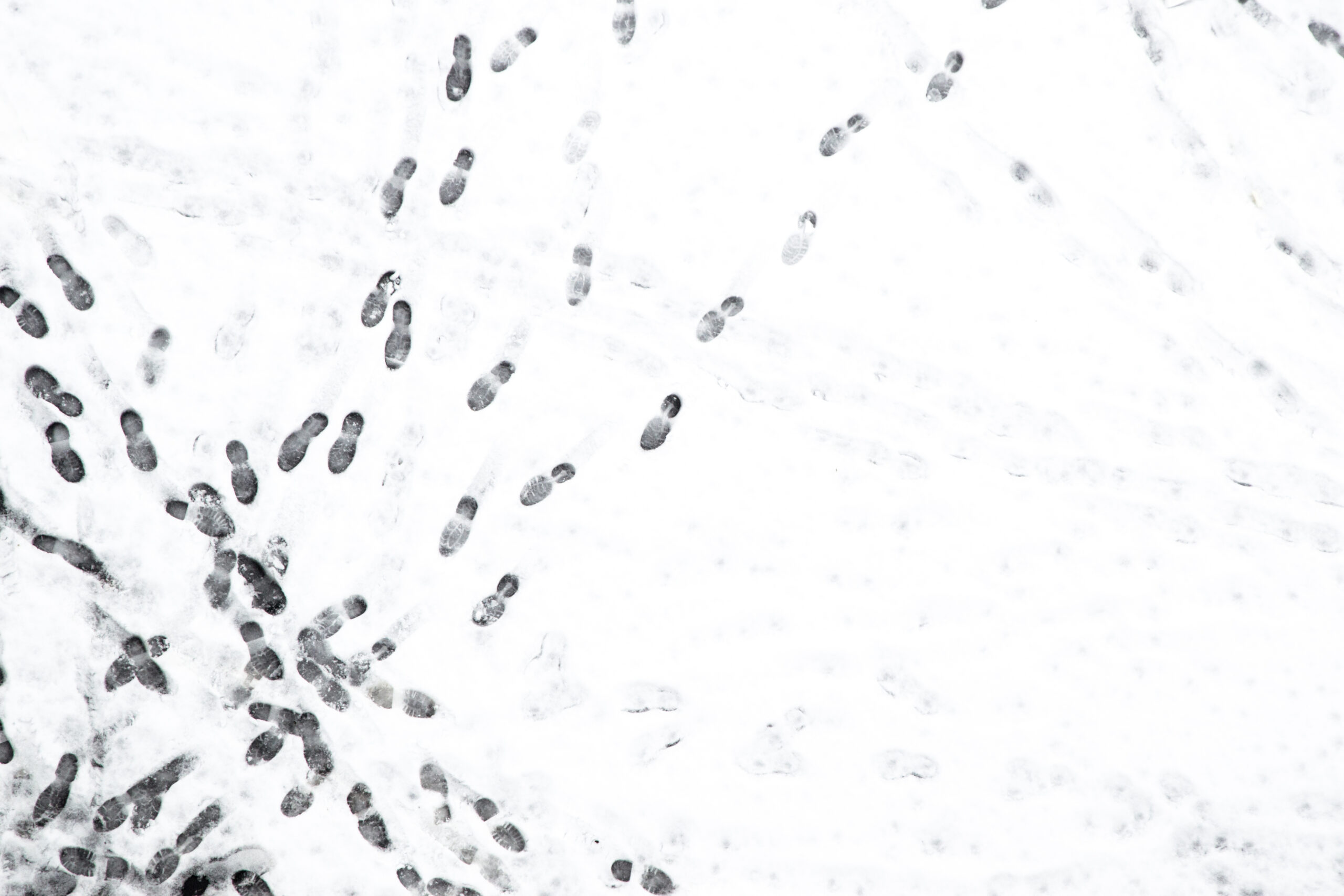 background: human old and new footsteps in the fresh converge on wet snow in the winter, the crosshair trails